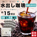 【 1000円ポッキリ 送料無料 】水出