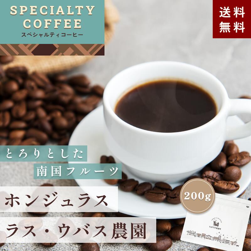 【送料無料】SPECIALTY COFFEE　ホンジ