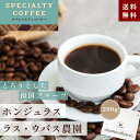 【送料無料】SPECIALTY COFFEE　ホンジュラス　ラス・ウバス農園　200g【豆・粉選べます】 スペシャルティコーヒー コーヒー コーヒー豆 珈琲 フルーティー レギュラーコーヒー フレンチプレス 水出しコーヒー スペシャルティ