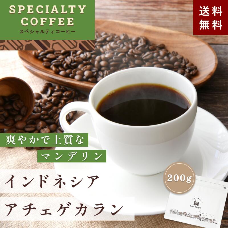 SPECIALTY COFFEE　インドネシア アチェゲカラン 200g スペシャルティコーヒー コーヒー コーヒー豆 珈琲 ダートコーヒー ストレート レギュラーコーヒー フレンチプレス 水出しコーヒー スペシャルティ