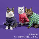 ペット服 犬服 猫服 ストライプ柄薄手ベースレイヤー 四季通用 カジュアルウェア 猫用 犬用毛防止ベスト 送料無料