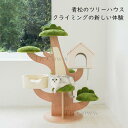 ペットベッド 爪とぎ 猫用キャットタワー&ハウス 爪研ぎボード一体型 四季対応 青松のツリーハウス ぐうぐう寝る 送料無料