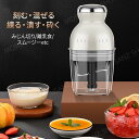 フードプロセッサー 電動 ミキサー 小型 粉末機 家庭用 ブレンダー 離乳食 大根おろし器 肉切り機 コンパクト みじん切り ひき肉機 誕生日 プレゼント