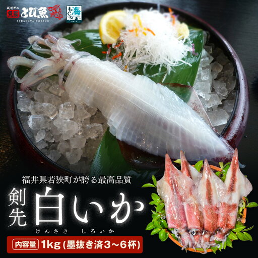 【高級寿司店でも扱われる一級品】剣先白いか 1kg (3〜6杯) 墨抜き・真空冷凍処理済み 福井県若狭町が誇る最高品質 けんさきイカ 福井県若狭湾 産地直送 送料無料 kensaki202306-1kg 【高級寿司店でも扱われる一級品】剣先白いか 1kg (3〜6杯) 墨抜き・真空冷凍処理済み 福井県若狭町が誇る最高品質 けんさきイカ 福井県若狭湾 産地直送 送料無料 kensaki202306-1kg