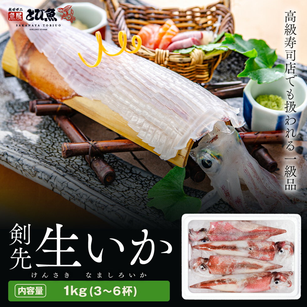 【朝どれ 産地直送】剣先白いか 生 1kg (3～6杯) 生いか 剣先イカ 剣先 いか イカ 烏賊 白イカ 福井県若狭町が誇る最高品質 けんさきイカ 福井県若狭湾　産地直送 送料無料 kensakiika1kg