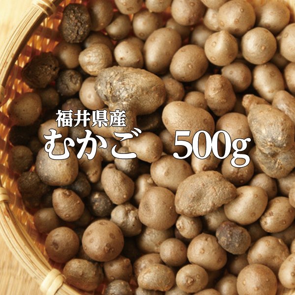 むかご　500g　福井県 若狭町産 お祝い 炊きこみごはん mukago