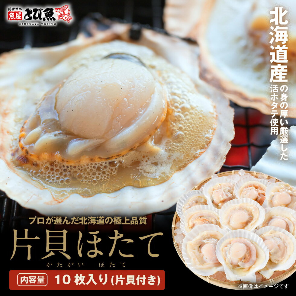 ≪家計応援価格≫ 片貝付き ほたて 10枚 北海道産 国産 大きい 新鮮 肉厚 帆立 ホタテ バーベキュー バター焼き グラタン バーベキュー hotate