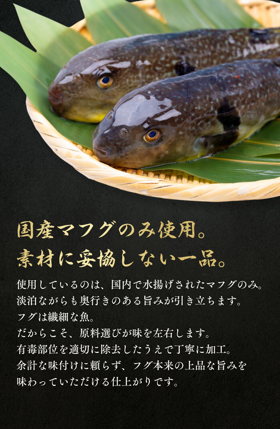 【 国内 工場直送 】【国産 マフグ 切身 1kg】真ふぐ (有毒部位除去済) カット済み...