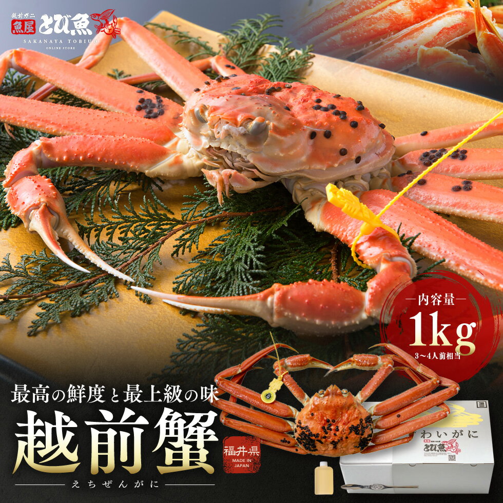 【スーパーセール】【送料無料】 蟹 越前ガニ 1kg (未冷凍) 福井県産 国産 産地直送 最高級 特大サイズ 特選 活 ボイルから選べる ズワイガニ 越前かに カニ鍋 かに雑炊 焼きがに 脚 肩 爪 贈答 ギフト プレゼント お歳暮 送料無料 etizen1kg