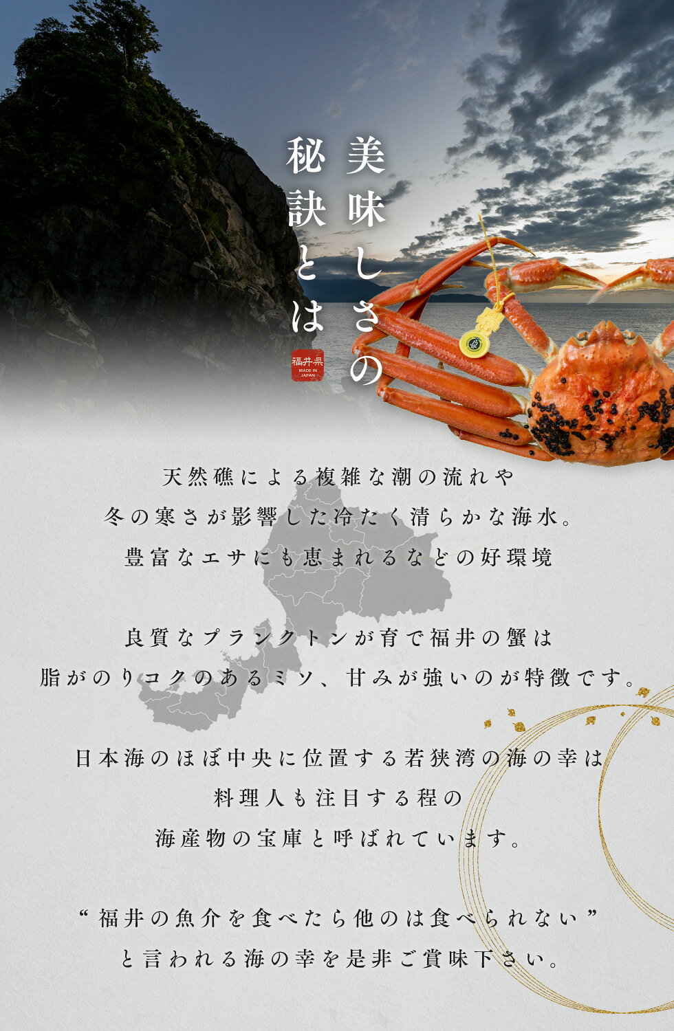 【一日30杯限定】【大決算セール 2月14日0時から26日9時59分まで】越前ガニ 特大サイズ 1kg 未冷凍 (活 ボイルから選べる) 福井県産 国産 蟹 産地直送 ズワイガニ 越前がに 越前 かに カニ 脚 肩 爪 鍋 送料無料etizen1kg 3