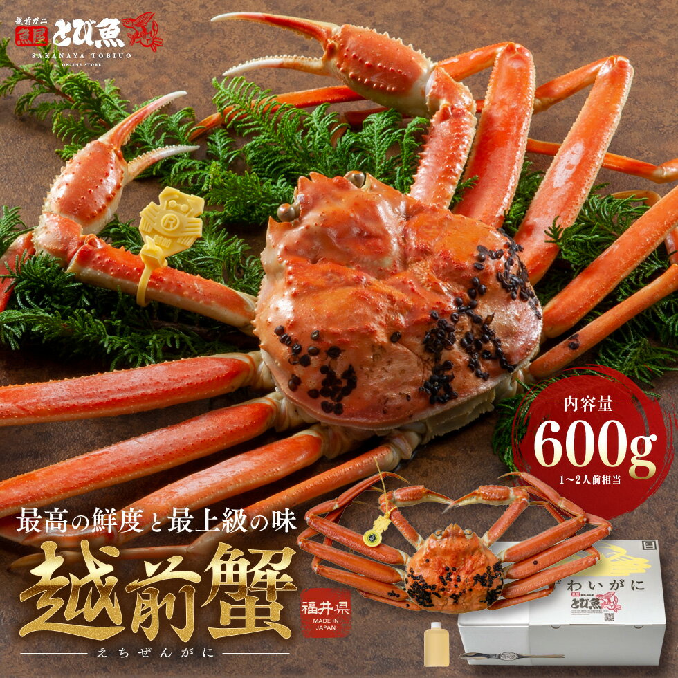【即納】越前ガニ 600g 未冷凍 (活 ボイルから選べる) 福井県産 国産 蟹 産地直送 ズワイガニ 越前がに 越前 かに カニ 脚 肩 爪 鍋 送料無料et...