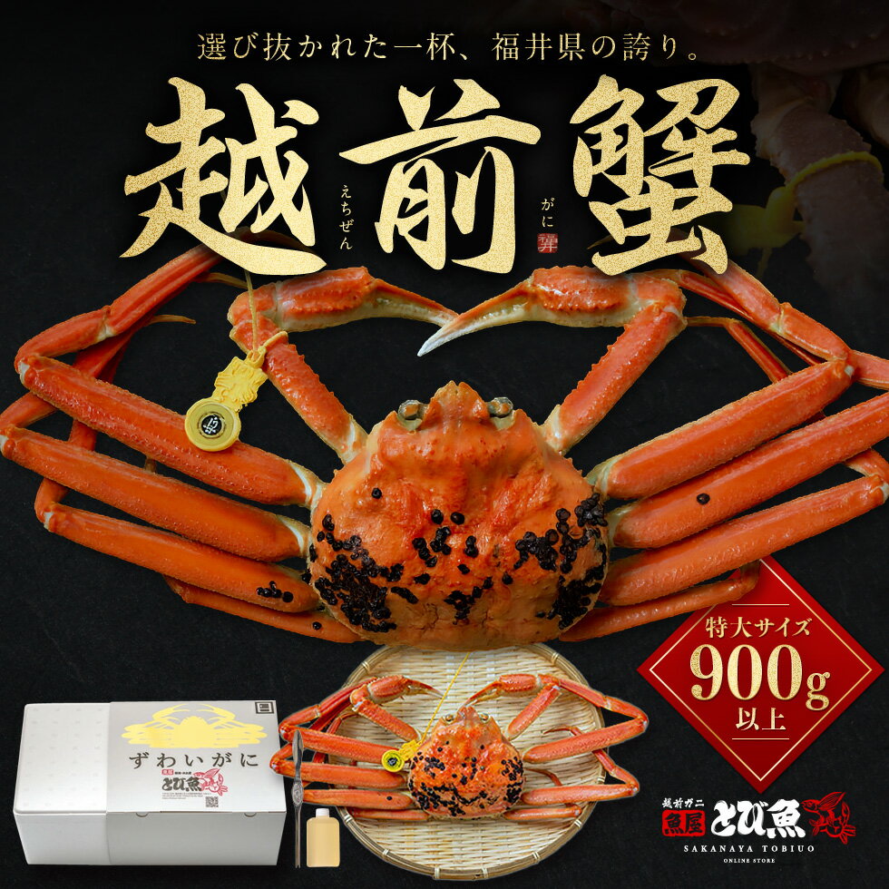 【蟹専門店 日本一への挑戦！超目玉セール】【即納】訳あり 越前ガニ 900g以上 未冷凍 (活 ボイ ...