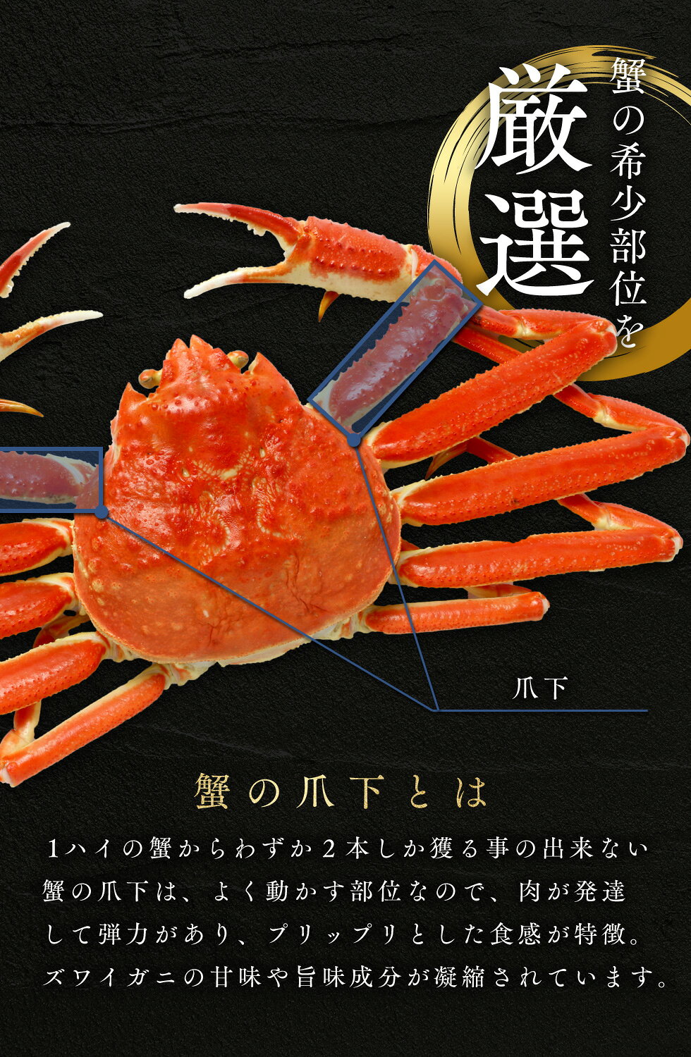 サンプル画像2