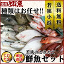 ≪家計応援価格≫ 朝獲れ 鮮魚セット 詰め合わせ 福井県産 国産 産地直送 特大 業務用サイズ 天然 ...