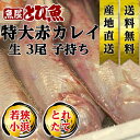 ≪家計応援価格≫子持ち 赤カレイ 3尾 35cm前後 福井県産 国産 産地直送 特大 業務用サイズ 天然 美味しい かれい カレイ 生食 煮付け 焼き魚 送料無料 akakarei3