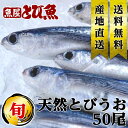 【マラソン限定クーポンで更に100円オフ】≪ 若狭湾 産地直送 ≫ 天然 丸トビウオ 50尾入り トビウオ 飛び魚 丸あご アゴ 朝どれ 生鮮 福井県 生 お祝い 送料無料 【同梱不可】 marutobi5