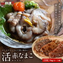 福井県産 活 赤ナマコ 赤なまこ 1kg (約3尾〜7尾)【素潜り漁厳選】なまこ酢 刺身 厳選素材 送料無料 nam2401-1kg