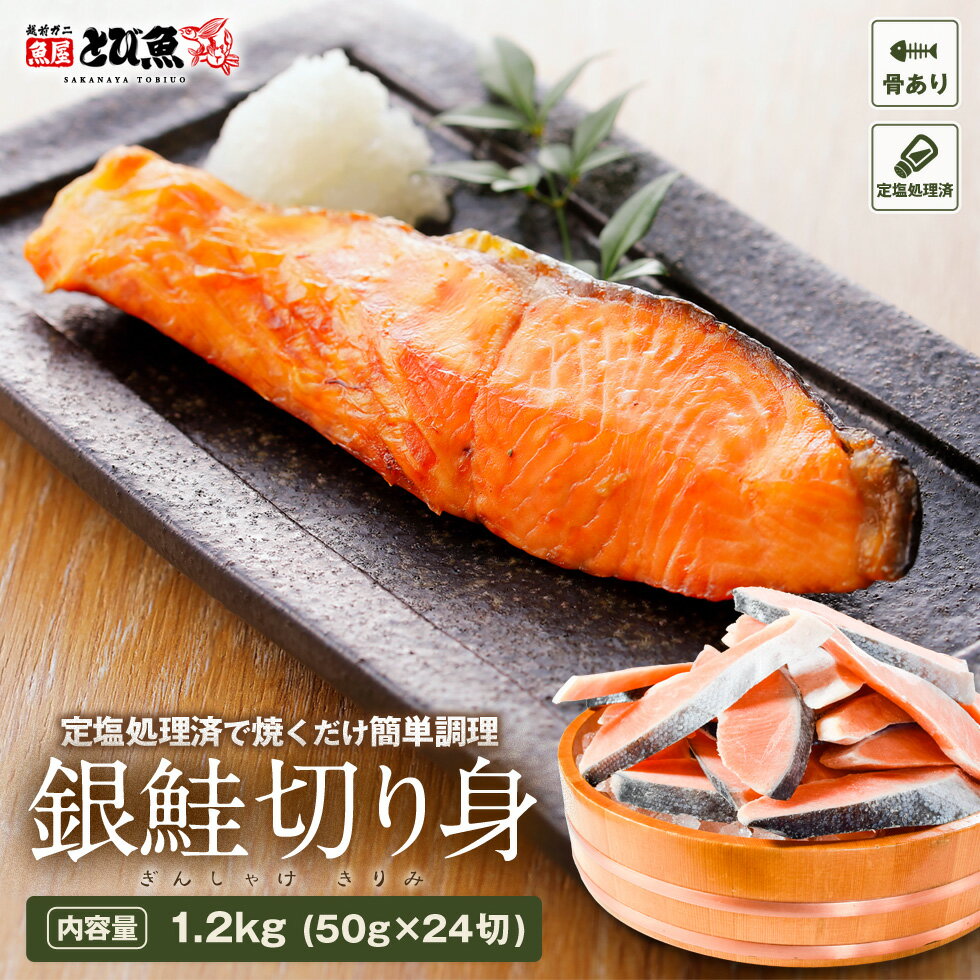 【魚介のプロが選んだ旨い鮭】【骨あり・有塩】銀鮭 切り身 1.2kg (50g×24切れ) 鮭の塩焼き 鮭おにぎり お弁当やお酒のおつまみにも シャケ 厳選素材 送料無料 ses2305-12ka