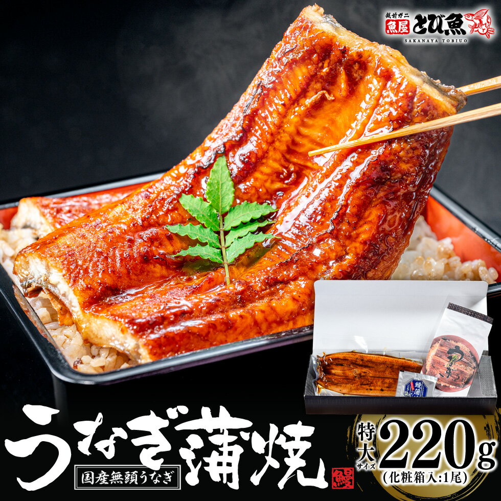 蒲焼き 【プレゼント ギフト】【国産・特大サイズ】無頭うなぎ蒲焼き (220g・約30cm) 国産 南九州産 鰻 蒲焼き 八本義醤油使用 うなぎのタレ・山椒・食べ方しおり付き 専用化粧箱付 ギフトやプレゼント・お祝いにもオススメ 送料無料 un2303-220-1a