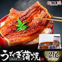 【国産・特大サイズ】無頭うなぎ蒲焼き 2尾セット (220g×2尾) 1尾あたり約30cm 国産 南九州産 鰻 蒲焼き うなぎのタレ・山椒・食べ方しおり付き 専...