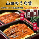 【お中元 夏ギフト】山田のうな重(2食入)|うなぎ 国産うなぎ 鰻 蒲焼き プレゼント 贈答 贈り物 米 お米 寸志 御礼 御中元 お中元 夏ギフト お誕生日 ...