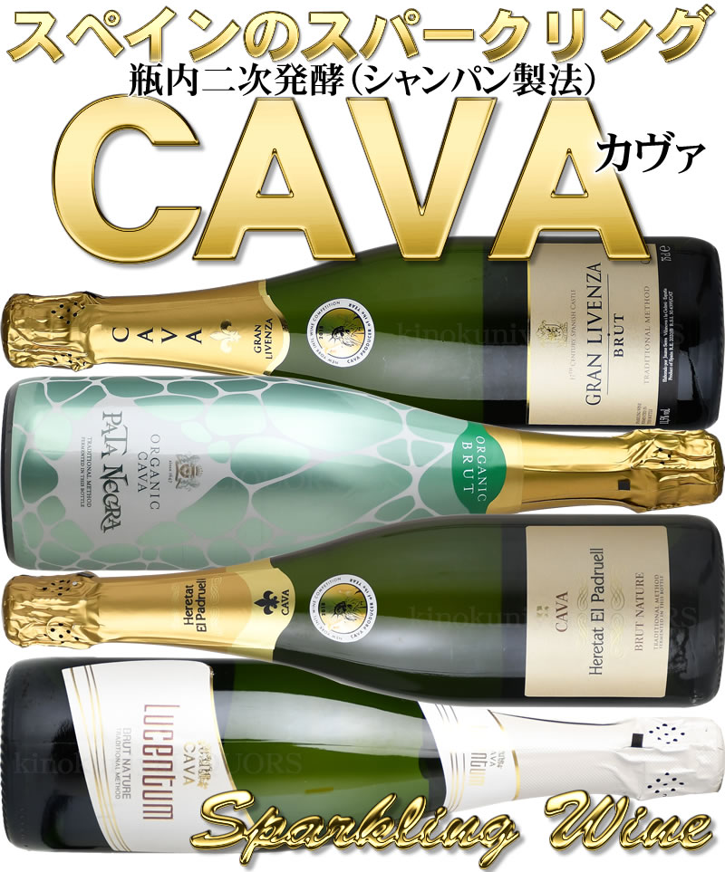 CAVA �ǥ��꡼�ˤ�������ˢ���������ơ������쥯��4�ܥ��å� [NV] �꡼���ʥ֥��������ȯ��(�����ѥ���ˡ)���ѡ�����󥰥磻�� �� �ɸ� ��750ml ������̵���ۡ����ڥ��� D.O.������������ ˢ ȯˢ ���ڥ���磻�󥻥å� ���ѡ�����󥰥磻�󥻥å�