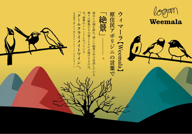 �����ޡ��� �꡼����� [2023][2024] ��磻�� �ɸ� 750ml �������ȥ�ꥢ �˥塼 ������ �������륺 �����G.I. / Logan Wines �������� �磻�� Weemala Riesling [MTKM]