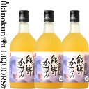 【3本セット】紀州にごり梅酒 熊野かすみ 720ml / プラム食品 /【紀州南高梅使用】【化粧箱入】【和歌山県産】【果実酒】