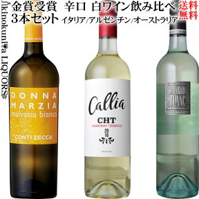 金賞受賞歴 辛口 白ワイン 飲み比べ3本セット 〜〜第3弾〜〜 イタリア シチリア / アルゼンチン / オーストラリア　750ml【送料無料S】