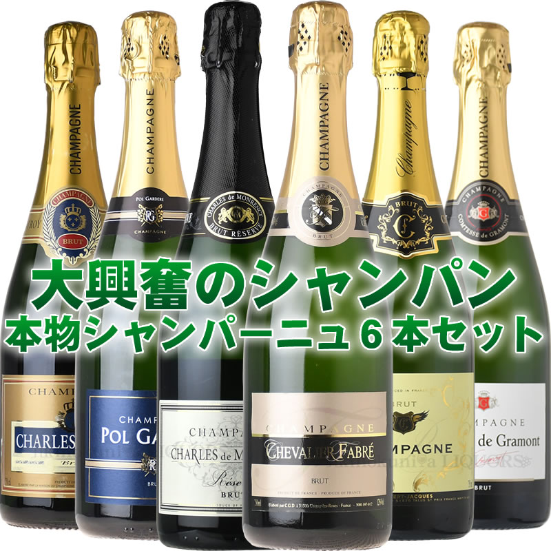 大興奮のシャンパーニュ6本セット (本物シャンパンのみでこの価格) フランス シャンパーニュ地方 CHAMPAGNE だけのセット