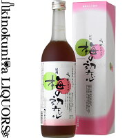 梅の初恋 720ml / 中野BC / うめシロップ(50%うめ果汁入り飲料)化粧箱入り 【和歌山県産】【紀州】【シロップ】【梅シロップ】