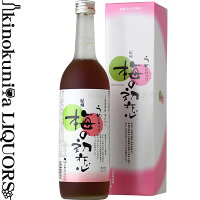 梅の初恋 720ml / 中野BC / うめシロップ（50％うめ果汁入り飲料）化粧箱入り 【和歌山県産】【紀州】【シロップ】【梅シロップ】