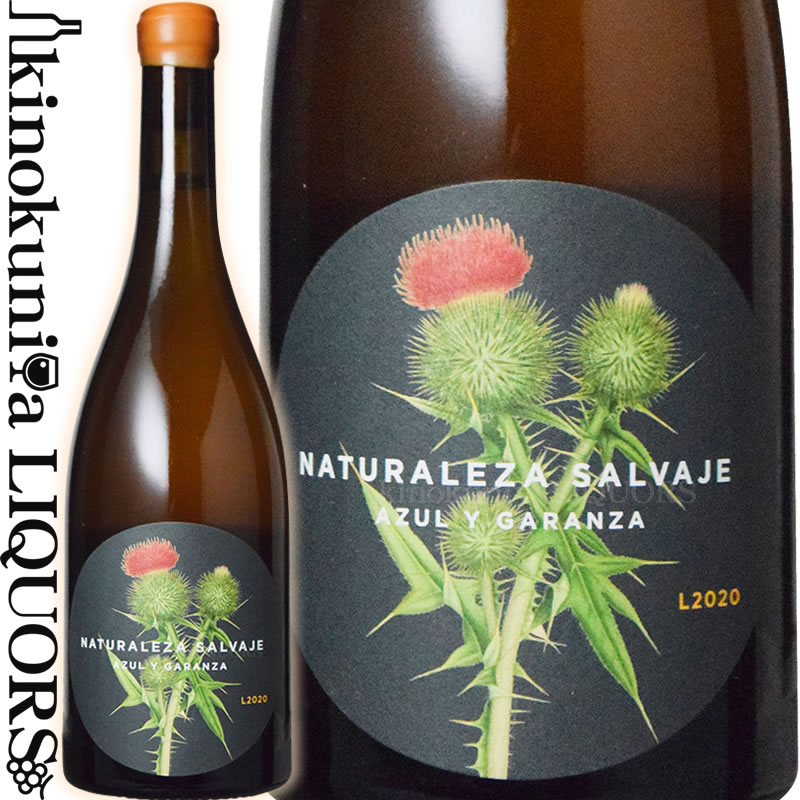 　Naturaleza Salvaje Garnacha Blanca ナトゥラレサ サルバヘ ガルナッチャ・ブランカ 色白ワイン・オレンジワイン 味わい辛口 ヴィンテージ品名に記載 産地スペイン ナバーラ 原産地呼称ビノ 品種ガルナッチャ・ブランカ 100% ALC度数13.0% 飲み頃温度10℃ キャップ仕様コルク 年間生産量7000本 ビオ情報ビオロジック 認証情報CPAEN ◆醸造 醗酵：5日間のスキンコンタクトの後、天然酵母にて小型ステンレスタンク醗酵 熟成：アンフォラ熟成6カ月 ◆商品説明 有機栽培に取り組むアスル・イ・ガランサが取り組むガルナッチャ・ブランカ100%のオレンジワイン。白い花やアプリコットにナッツのニュアンスも感じ長く力強い余韻が楽しめます。 　Bodegas Azul y Garanza 　ボデガス・アスル・イ・ガランサ ワインを愛する3人の若者が届けるエレガント・ビオ！ スペイン北東部の砂漠地帯でワインを造る“たった一軒”のボデガ ◆クオリティの高い、自然なワイン造りを目指して 　ボデガス・アスル・イ・ガランサの設立は2000年。ピレネー山脈にもほど近いスペイン北東部ナバーラD.O.に、若い仲間3人が立ち上げたワイナリーです。ワイナリー設立の動機は、「自分たちが理想とする自然なワイン造り」を実践すること。醸造家のマリアとダニエルは、もともとカタルーニャの醸造学校で同級生でしたが、そこで学ぶうちに二人は「ワイン造りとは技術ではなく、自然な表現が生まれる手助けをすることだ」という考えを共有するようになります。醸造学校を卒業後、それぞれ修業のために別の道を歩み、ブルゴーニュ、オーストラリア、南アフリカ、アルゼンチンなどで経験を積みますが、その一方で、自分のワインを造りたいという夢は膨らんでいきます。そして2000年、マリアの兄でアーティストでもあるフェルナンドを迎え遂に夢の第一歩を踏み出したのです。 ◆有機栽培にはこれ以上ない最適の地 　満を持して選んだのは、国立公園にも指定されているヨーロッパ最大の砂漠地帯ラス・バルデナス・レアレスの一端、カルカスティーリョ村に50年以上もの間打ち捨てられていた一軒の元協同組合。畑はもちろん砂漠の外にありますが、砂漠の乾燥した空気とピレネー山脈から吹き降ろす北風のお蔭で病気や害虫を寄せ付けません。気候的に難しい地で有機栽培を実践するのは大変なことですが、このテロワールのお蔭で、ワイナリーでは無理なく自然な栽培に取り組むことができるのです。 ◆テロワールを自然に表現する柔らかくエレガントなワイン 　リリース当初、アスル・イ・ガランサのワインはその柔らかくエレガントなスタイルで人々を驚かせました。ナバーラというD.O.の古いイメージ、タニックで濃いというステレオタイプのスペインのイメージとは全く違う、きれいで自然なスタイルが特徴です。ボデガのこうしたスタイルを実現するのが、自然な栽培で収穫した完璧なブドウ、区画ごとの醸造、自然酵母、醸造タンクの選び方等あらゆる面での注意深い配慮が、それを可能にしています。 　「私たちのワインは、一本のボトルに託された五感の旅をお届けするものです。ワインが育まれた太陽や雨、土地や風を感じながら楽しんで飲んでもらうことで、これからワインを通して出会う様々な世界への個人的な探求への始まりとなることを願っています。」 ◆有機栽培の実践 自然なワイン造りを実践するワイナリーでは、土壌に合わせたブドウの自然な生育サイクルを大切にしています。 ◆健康を育むテロワール 　畑は隣接するバルデナス砂漠と北に控えるピレネー山脈の風のおかげで、有機栽培には大変優れた土地で、ほとんど病気の心配がありません。一般に乾燥したスペインですが、ナバーラなどの北東部では雨に悩まされる地域もあります。しかし砂漠の乾燥した空気により病気が発生することは稀な上に、ピレネーの涼風もブドウを健康に保つことに役立ちます。 ◆健康なブドウ 　砂漠地帯という極限の環境下にあるため、ブドウの木は自ずと木の根を地中深くまで伸ばしてしっかりと根を張っていきます。あまりに乾燥した年は、灌漑が必要になることもありますが、この時はピレネー山脈の雪解け水をうまく利用することができます。畑は州政府から正式な認証を受けた有機栽培ですが、病気がほとんど発生しない為、例えば有機栽培で許される硫黄や銅なども使う必要は全くありません。 ◆ハーブの利用 　病気の心配は少ないとはいえ、より健康なブドウを育てるための工夫は欠かせません。アスル・イ・ガランサのユニークな試みとして、ハーブエキスの利用があります。トクサ、イラクサ、カミツレなどのハーブを煎じたものを畑に撒くことで、ブドウの樹にエネルギーを与えることができ、抵抗力が増すようになります。これはビオディナミの考え方を取り入れたもので、ホメオパシー医療にも似ています。 ◆小さなブドウ、少ない収量 　自然栽培には最適な砂漠地帯でのブドウ栽培ですが、その過酷な環境から果実はとても小さくなり、収量は望めません。その為、アスル・イ・ガランサ周辺には未だに一軒もワイナリーがないわけですが、この小さなブドウの凝縮感は見事なものです。品質を重視する彼らに、収量の少なさはかえって魅力になるのです。 ◆カギは畑の中にある ワイナリーでは「ワイン造りは自然な形で行わなければならない」と考えています。 それは、ワイン造りとは自然な表現が生まれる手助けをすることだと信じてるから。ヴィンテージ毎に気象条件が違うように、ワイン造りには決まったレシピはなく、ワイン造りの方法を、こうした様々な自然の条件に合わせていくべきだ、と考えています。そして私たちはこれを「直感のワイン造り」と呼んでいます。自然な栽培に無理のない場所を選んで有機栽培をすることで、彼らが目指す品質に到達しやすくなると信じています。「悪いブドウから良いワインはできない。カギは畑の中にある」、と口癖のように話します。 ◆テロワールを写し取った美しい名前 ワイナリー名：アスル・イ・ガランサ スペイン語で「アスル」は青、「ガランサ」は、輝きのある深い赤色を意味します。 　「アスル」はスペインと畑のテロワールの象徴である、空の青さから来ています。強い日差しと乾燥した空気のスペインは、空の青さが違います。そのスペインでもワイナリーのある砂漠地帯の空の青さは群を抜いています。強烈な青さはワイナリーの心そのもの。この青さに、「ガランサ」が混ざると、フレッシュで凝縮感に溢れた果実の色、つまり彼らの赤ワインの色になります。ボデガの名前には、その想いが込められています。 ◆安定した収量と質の高いブドウ 　健康なブドウを育てた後は、本当にブドウが熟した瞬間に収穫を行うことが非常に大切です。そのために、収穫前には全ての区画のブドウのサンプルを採って何度も分析をし、収穫時を決めていきます。そして、それだけでなく収穫した後も、もう一度良いブドウを選別するようにしています（写真）。もともと収量が少ない過酷な環境でのブドウ栽培の上、更に厳しい選別をかけるわけですが、逆にそれが強みとなり、ワイナリー全体の収量はその年の気候に影響されることなく安定しています。これも強みの一つです。 ◆夜間に収穫 　2012年からは、夜に収穫することにしました。収穫する人々にとってこれは大変嫌な作業ですが、こうすることでよりスムーズにワイン造りへと入ることができます。夜間に収穫したブドウは約10度の状態でセラーに持ち込むことができるため、低温のままゆっくりと醗酵が始まります。こうすることで、ワインはさらにエレガントで繊細なスタイルになります。 ◆コンクリートタンクが鍵 　1940年から1960年にかけて建設された元協同組合の施設を買い取ってワイナリーを立ち上げたアスル・イ・ガランサ。その理由は、この元組合の設備が、「コンクリートタンク」だったから。4,000から20,000リットルの小さなタンクからなるこの横長のコンクリートタンクこそが、ワイナリーのスタイル「柔らかくてきれいなワイン」造りに欠かせないものです。 ◆ステンレスタンクは使いません 　珍しいことにボデガでは、ステンレスタンクは一切ありません（※2017年ヴィンテージより始めたオレンジワイン造りは除く）。フレッシュでフルーティな味わいはステンレスタンクでも出せますが、ステンレスタンクで醗酵させるより、コンクリートタンクで醗酵させるほうが良いと考えています。なぜなら、ステンレスタンクは空気を完全に遮断してしまうのに対して、コンクリートタンクでは醗酵中にワインが適度に呼吸するため、フレッシュさだけでなく、ブドウの味わいがよく馴染んだより深みのある優しさが出るからです。収穫したブドウは品種や区画ごとに醸造され、テロワールを純粋に表現した品質の高いワインとなります。 ※掲載画像はイメージです。お届けの品のラベルイメージ、ヴィンテージが異なる場合がございます。 メーカー希望小売価格はメーカーサイトに基づいて掲載しています。