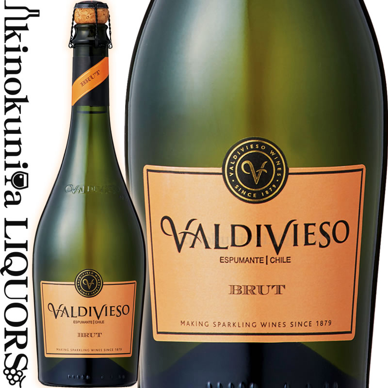 【SALE】バルディビエソ ブリュット [NV] 白 スパークリング 辛口 750ml チリ セントラル ヴァレー Valdivieso Brut バルディビエソ ブリュット【スパークリング 泡 発泡】カタドール 2011 金賞歴【あす楽】【業務店】【料飲店】