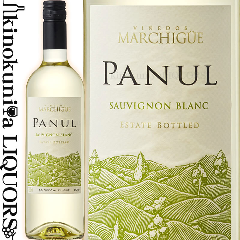 ѥ̡ ˥ ֥ [2021] 磻 ɸ 750ml /  ȥ 졼 ꥳ 졼D.O. 饹ꥹ Хꥧ Errazuriz Ovalle Panul Sauvignon Blanc [MTBS]