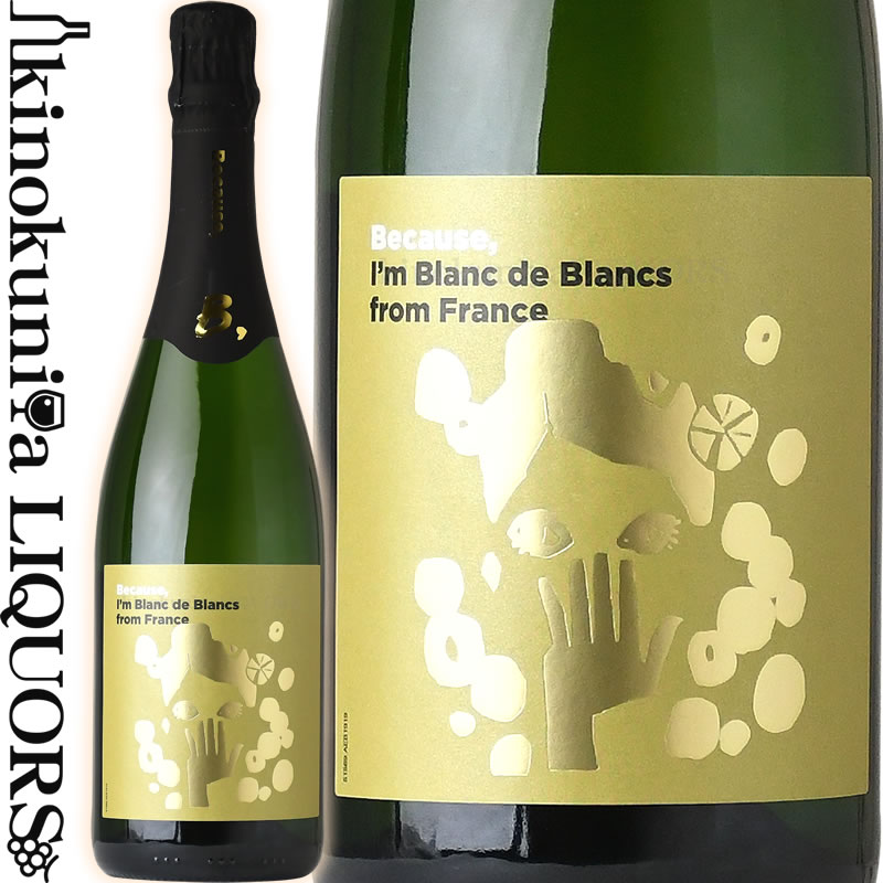 【SALE】ビコーズ / アイム ブラン ド ブラン フロム フランス [NV] スパークリングワイン 白 辛口 750ml / フランス Because I'm Blanc De Blancs from France フィラディス Firadis 1