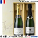 化粧箱入り お手頃シャンパーニュ2本セット(シャンパンセット) / フランス シャンパーニュ 各750ml / 白泡 CHAMPAGNE【送料無料】【送料込】【ギフト 贈り物】誕生日プレゼント 母の日 父の日 お中元 お歳暮に