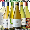 新旧産地を飲み比べ世界のシャルドネ6本セット [vol.3]【送料無料】 白ワイン（フランス、イタリア、チリ、アルゼンチン、南アフリカ）【15620】