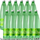 サンブノワ【1250ml】12本入【ケース販売】フランス産 炭酸入りナチュラルミネラルウォーター 硬度132 やや硬水 ペットボトル 12本セット【常温便発送】【送料無料】SAINT BENOIT