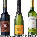 ヨーロッパ 赤白泡 金賞獲得3本セット ■◆■第11弾■◆■【送料無料】各750ml【送料無料 送料込み】【金賞】欧州三国 イタリア赤ワイン フランスボルドー白ワイン スペインのスパークリングワイン【ギフト 贈り物】のし紙、メッセージカード、簡易ラッピング対応可