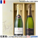 化粧箱入り お手頃シャンパーニュ2本セット(シャンパンセット) / フランス シャンパーニュ 各750ml / 白泡 CHAMPAGNE【送料無料】【送料込】【ギフト 贈り物】誕生日プレゼント 母の日 父の日 お中元 お歳暮に