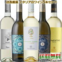 イタリア 白ワイン 5本セット 辛口 750ml ∋∋∋第46弾∈∈∈ イタリアの名産地から個性豊かな品種と風土を感じる銘柄をセットに