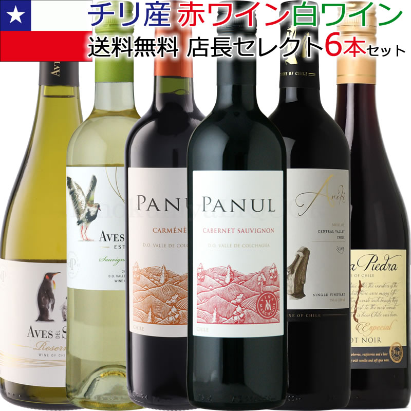 チリワイン6本セット(赤ワインミディアムボディ4本+白ワイン辛口2本)★★★第5弾★★★【送料込】6つのブドウ品種が楽しめる