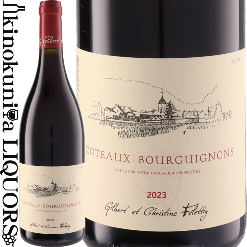 【目玉価格】コトー ブルギニヨン [2022] 赤ワイン ミディアムボディ 750ml / フランス ブルゴーニュ ..