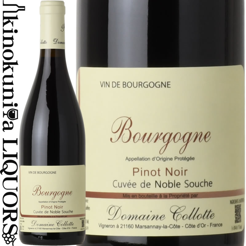 �ɥ᡼�� �����å� / �֥르���˥� �롼���� ������� �� �Ρ��֥� �������� [2024] �֥磻�� �ߥǥ�����ܥǥ� 750ml / �ե�� �֥르����...