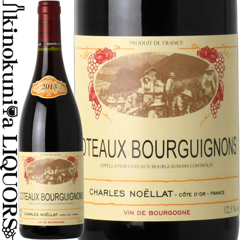 シャルル ノエラ / コトー ブルギニヨン ルージュ  赤ワイン 750ml / フランス ブルゴーニュ A.O.C. COTEAUX BOURGUIGNONS / CHARLES NOELLAT (CELLIER DES URSULINES) COTEAUX BOURGUIGNONS ROUGE (セリエ デ ウルシュリーヌ)