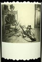 シネ クア ノン / ザ ゴージャス ヴィクティム グルナッシュ [2017] 赤ワイン / アメリカ カリフォルニア州 サンタバーバラ オーク・ビュー / SINE QUA NON (シン・クア・ノン) The Gorgeous Victim GRENACHE 2017