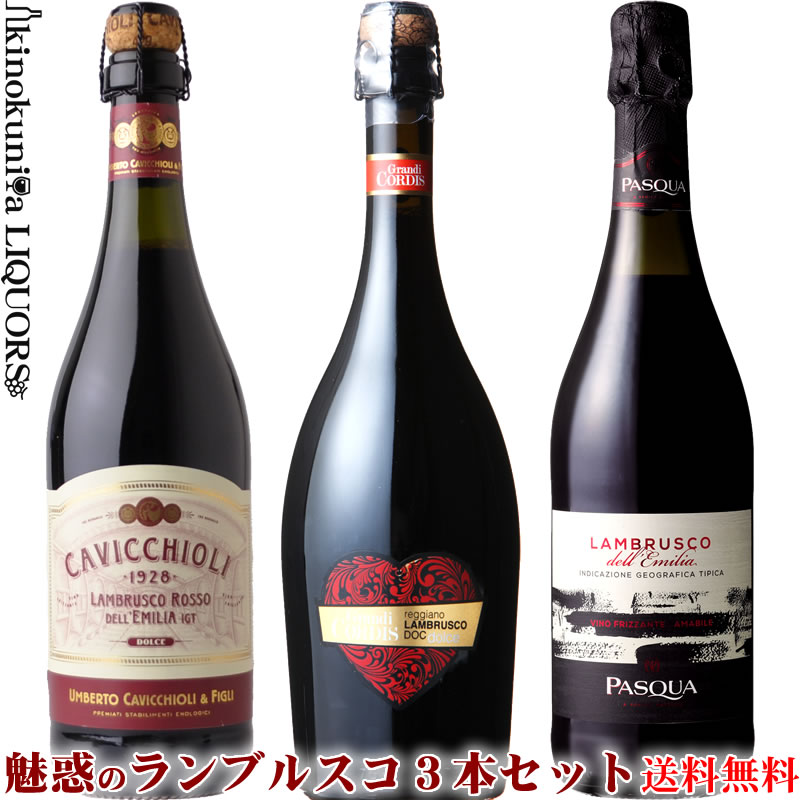 ランブルスコ3本セット 【送料無料S】【ワインセットS】【飲み比べS】【あす楽】【ギフト 贈り物】【楽ギフ_のし宛書…