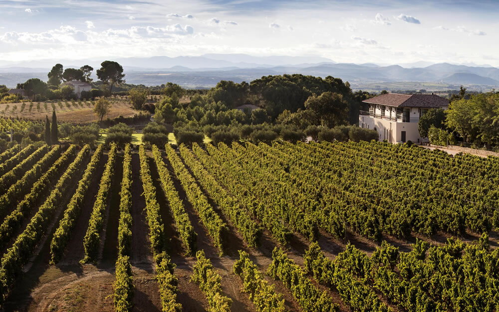 ������� ������� / �������˥� [2023] ��磻�� �ɸ� 750ml / �ե�� ��󥰥ɥå� �롼����� I.G.P.�ڥ� �ɥå� Cuvee Secrete Viognier (No Added Sulphur) ����� �������� �ޥ� �����ơ��ĥ֥�� Jean Claude Mas ���󥹥ե�