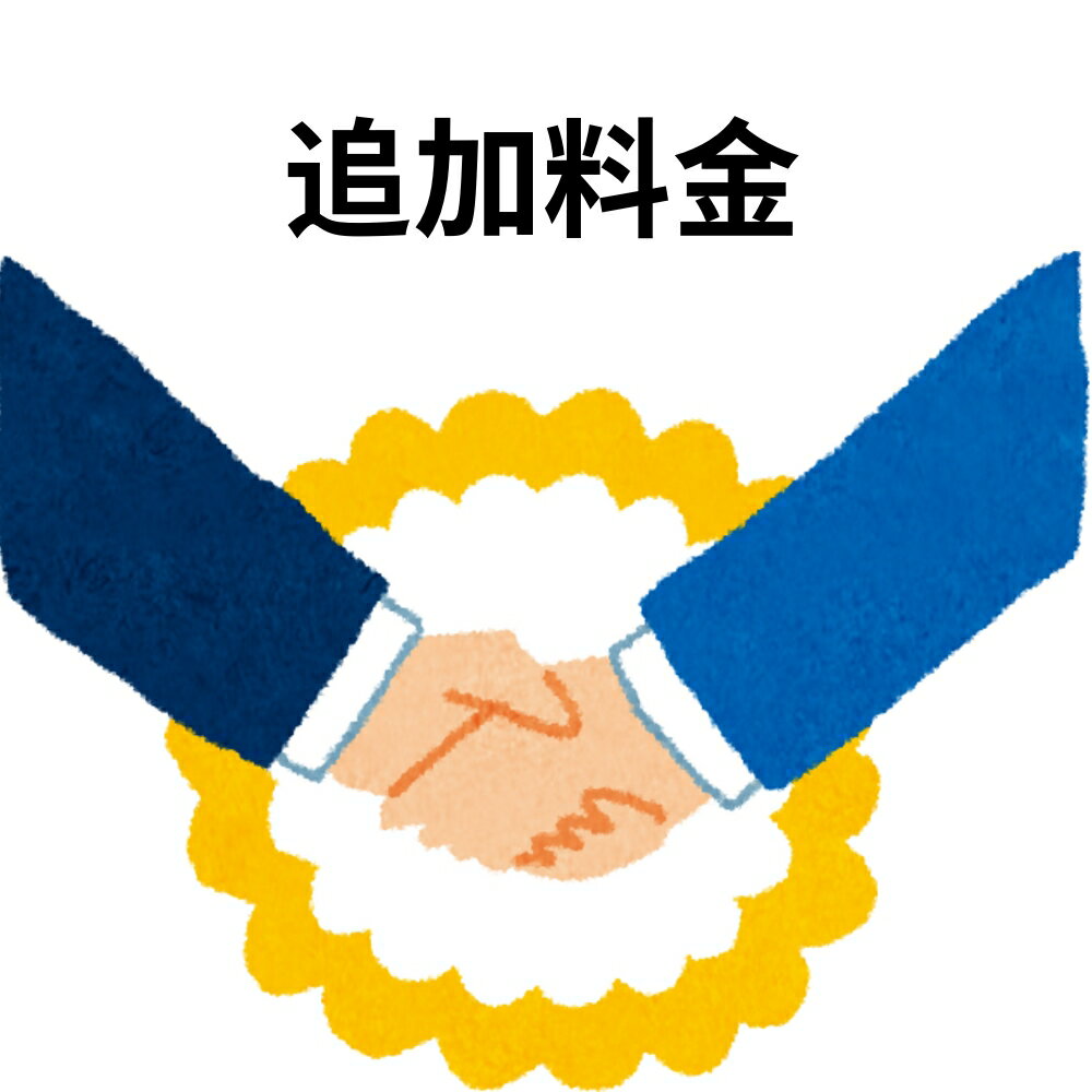 追加料金等の別途追加料金専用ページ